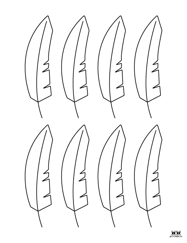 Turkey Body And Feathers Template