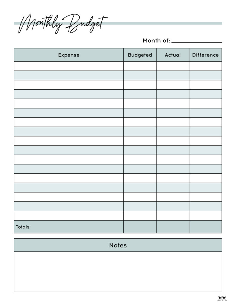 Monthly Budget Planner • The Printables