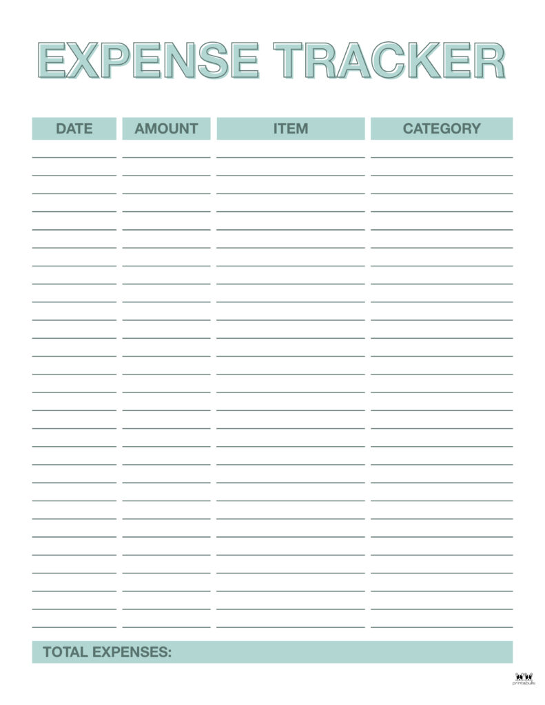 PRINTABLE Personal Size Kitty Financial Expense Tracker 