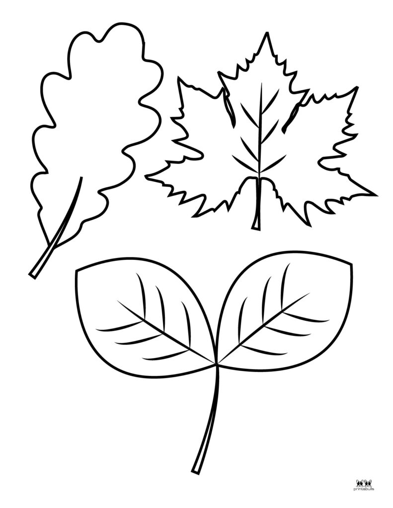 Printable Leaf Template-Page 30