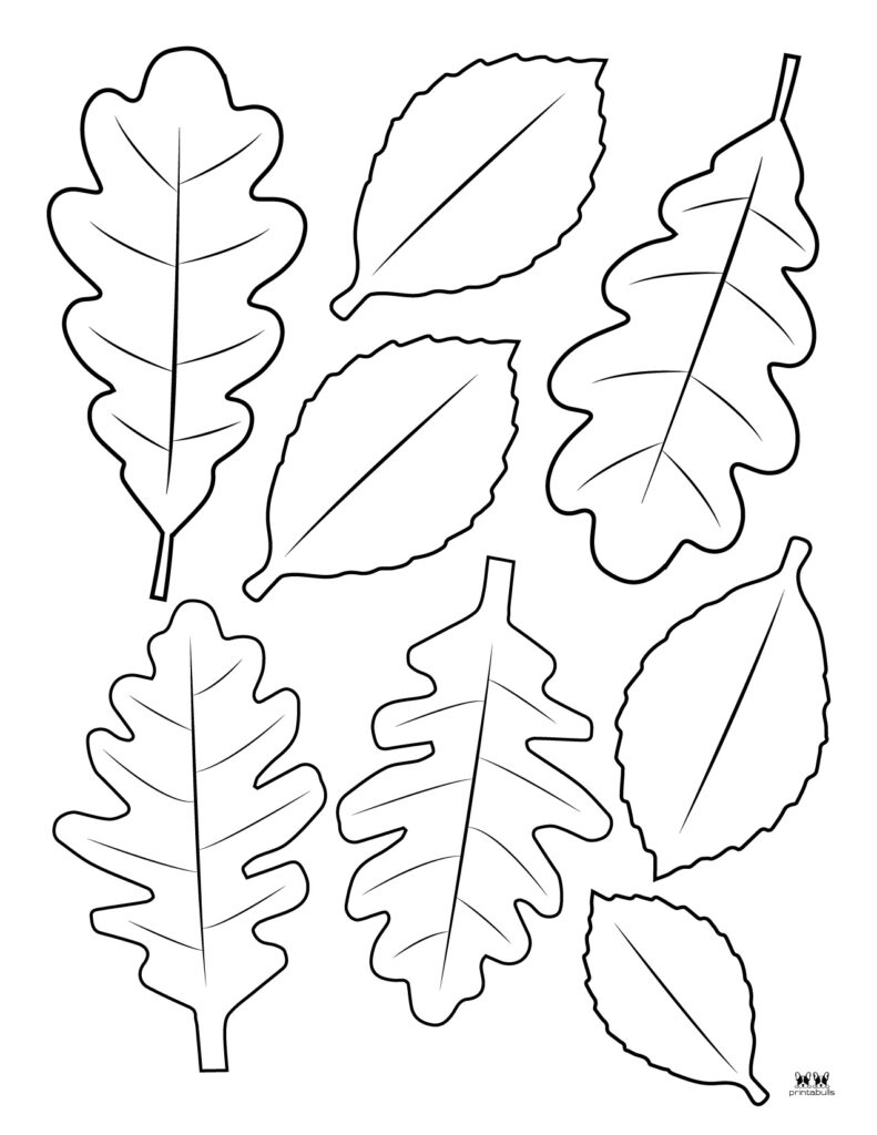 Leaf Template Coloring Page Leaf Template Coloring Page