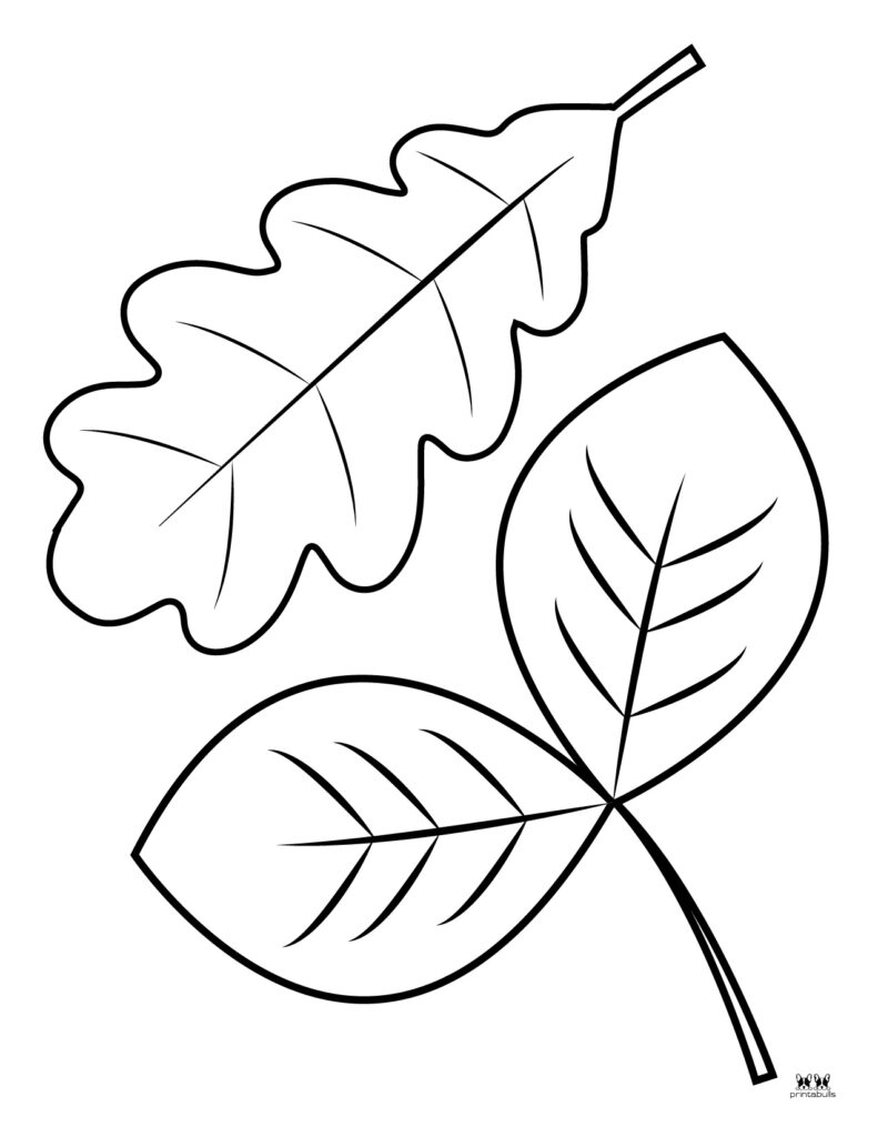 Printable Leaf Template-Page 39