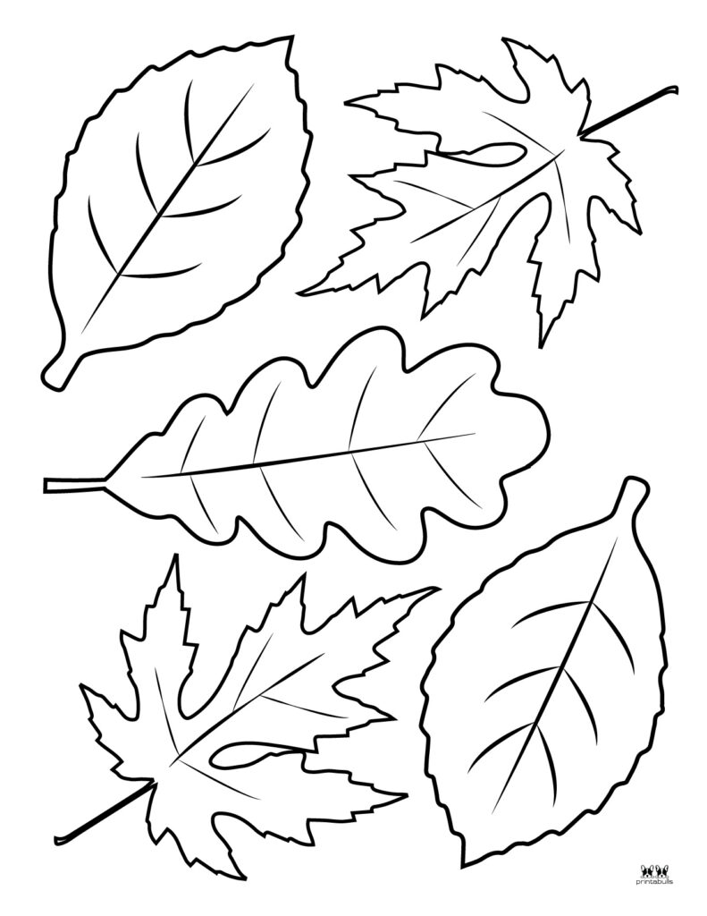 Printable Leaf Template-Page 40