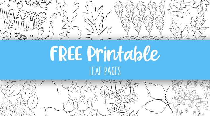 Free Printable Large Leaf Templates, Stencils and Patterns