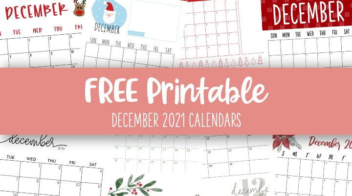 December 2021 Calendars - 15 FREE Printables | Printabulls
