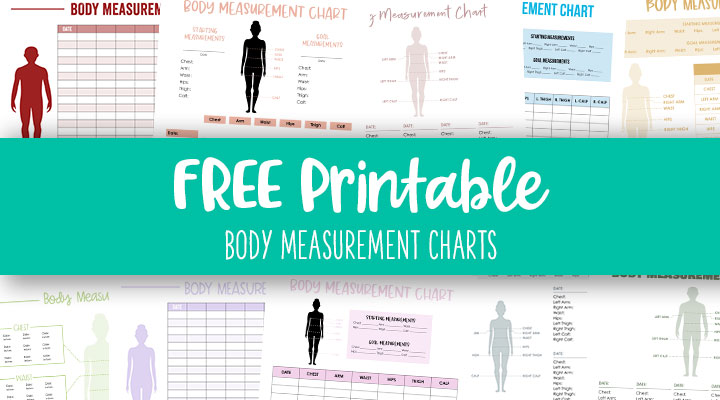 How to Use a Body Measurement Chart + Printable for Men & Women  Body  measurement chart, Body measurements chart printable, Body measurements