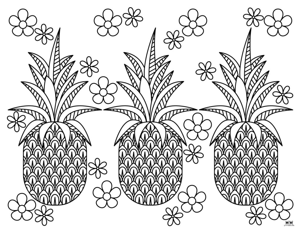 Printable-Pineapple-Coloring-Page-24