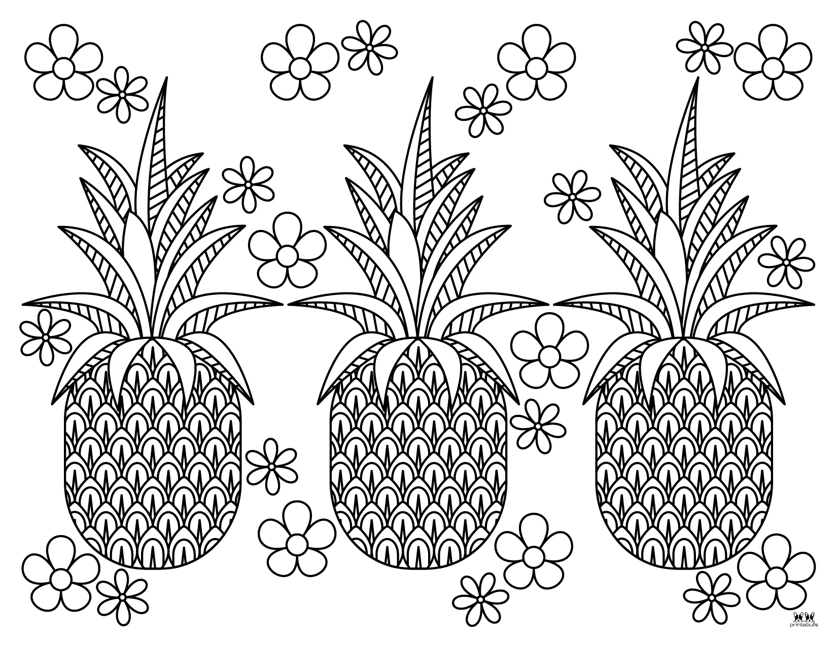 Pineapple Coloring Pages - 25 FREE Pages | Printabulls