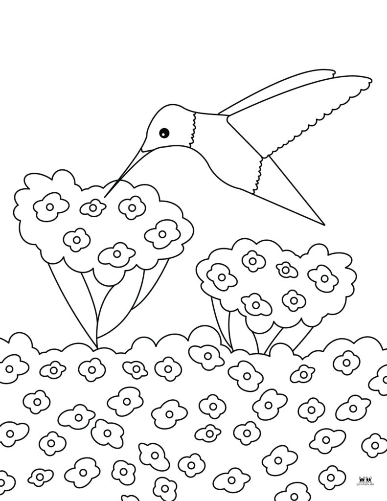 Printable-Bird-Flower-Coloring-Page-1