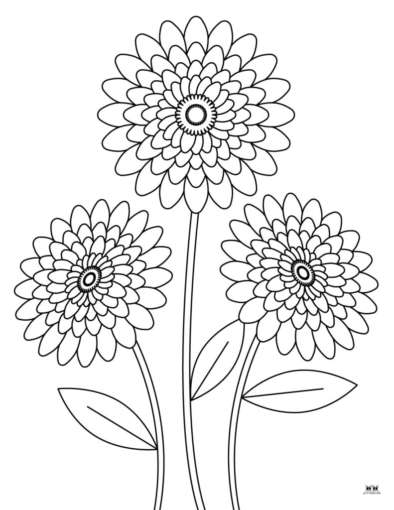 Printable-Dahlia-Flower-Coloring-Page-1