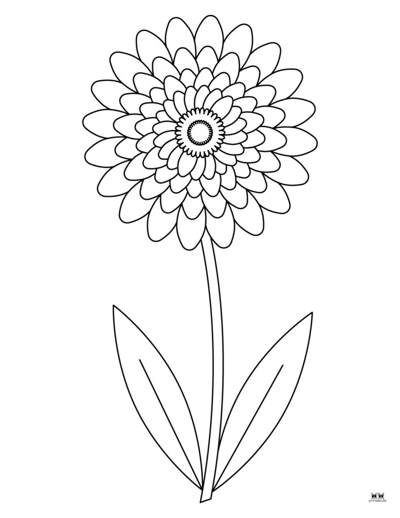 Printable-Dahlia-Flower-Coloring-Page-2