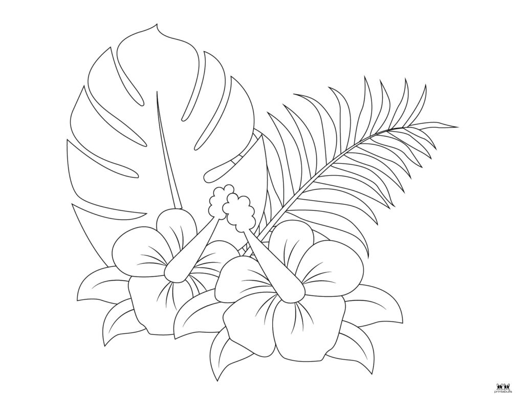 Printable-Hibiscus-Flower-Coloring-Page-1