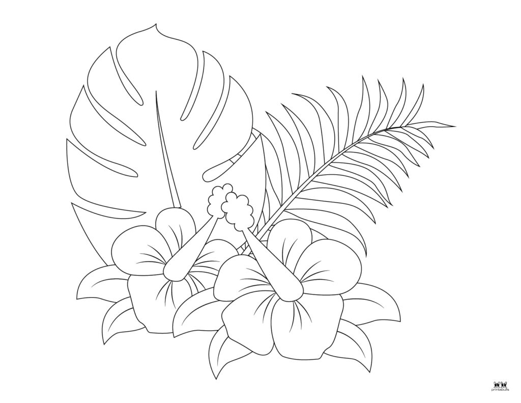 Flower Printable Coloring Pages - Flower Coloring Sheets PDF - Instant  Download