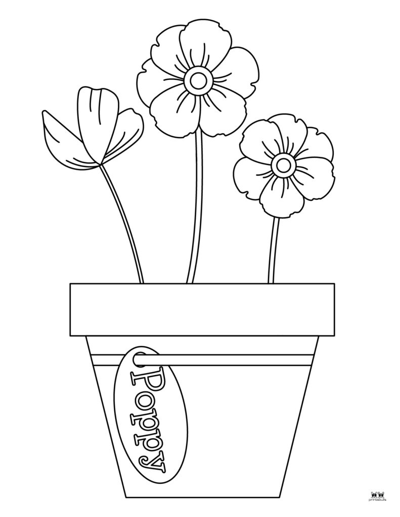 Printable-Poppy-Flower-Coloring-Page-2
