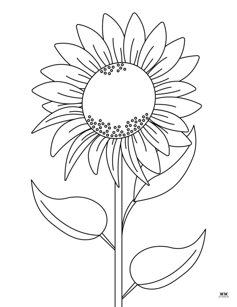 printable paint by numbers for kids  Sunflower coloring pages, Flower  coloring pages, Coloring pages