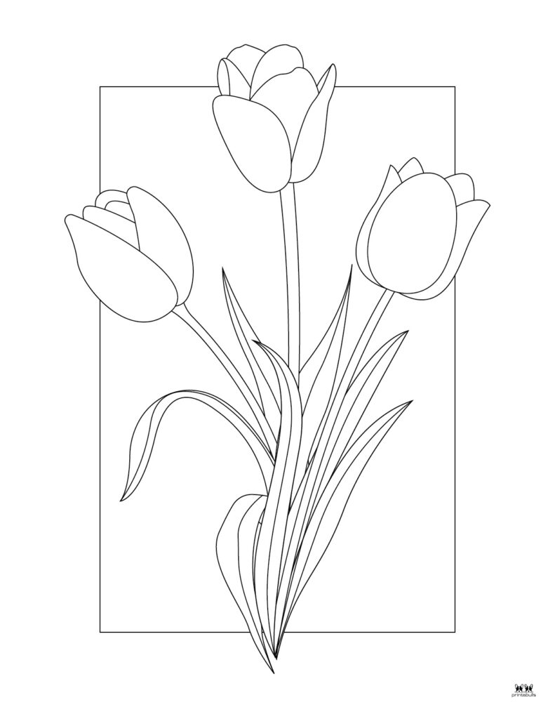 Printable-Tulip-Flower-Coloring-Page-2
