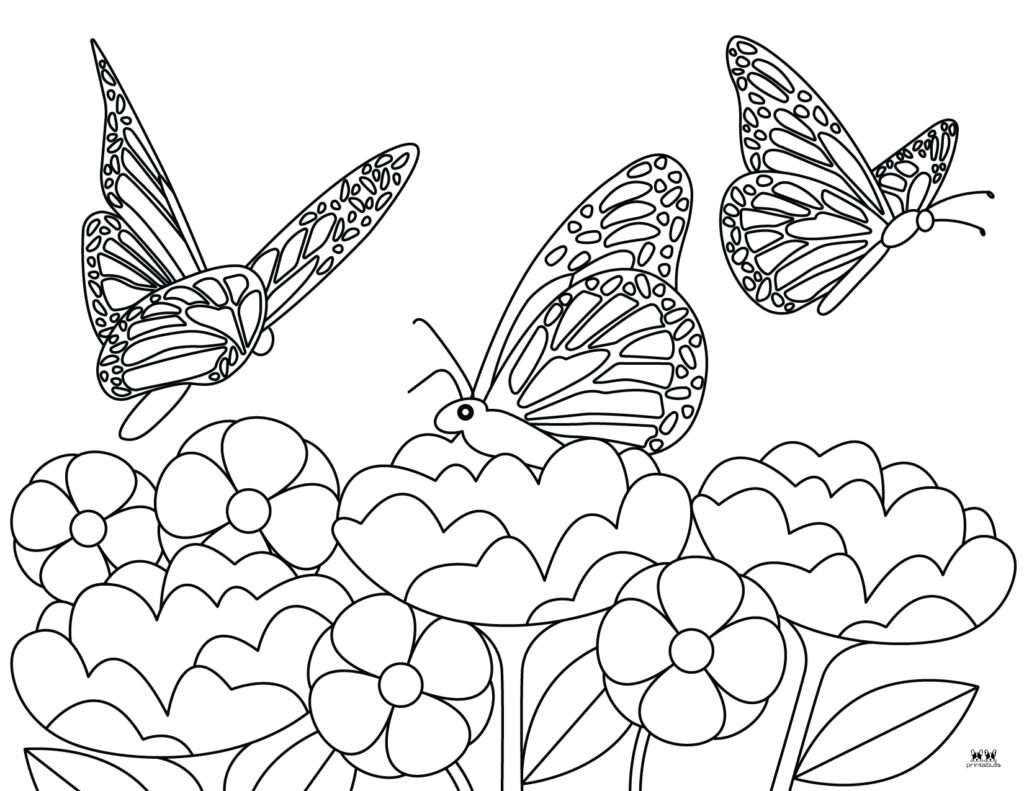 Printable-Butterfly-Coloring-Page-11
