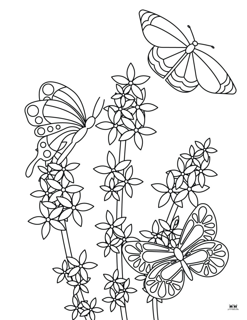 Printable-Butterfly-Coloring-Page-13