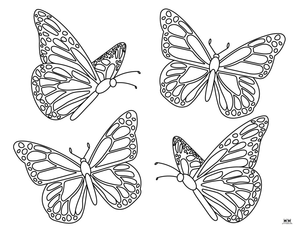 Printable-Butterfly-Coloring-Page-20