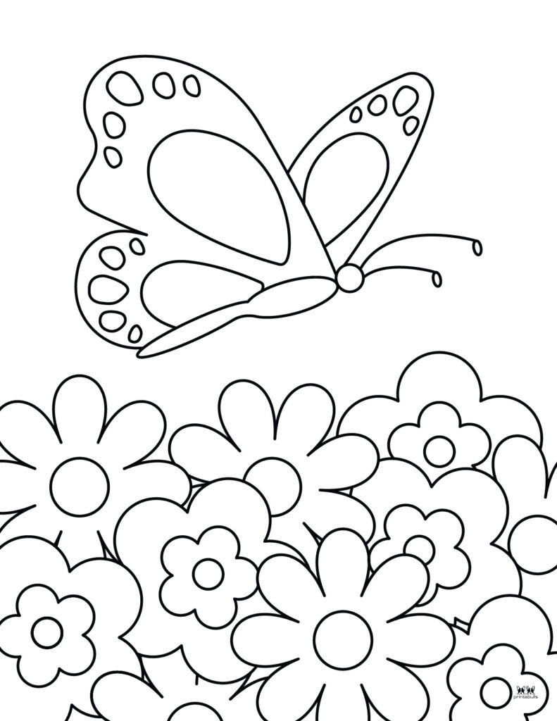 Printable-Butterfly-Coloring-Page-21