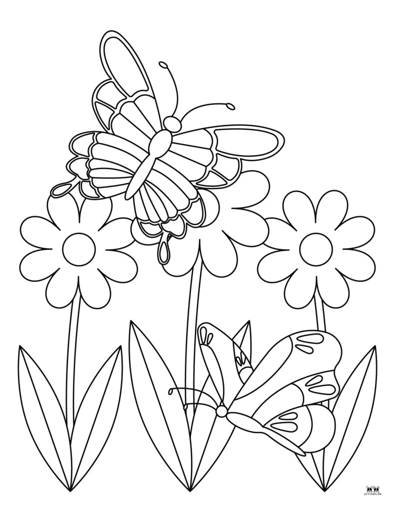 Printable-Butterfly-Coloring-Page-22