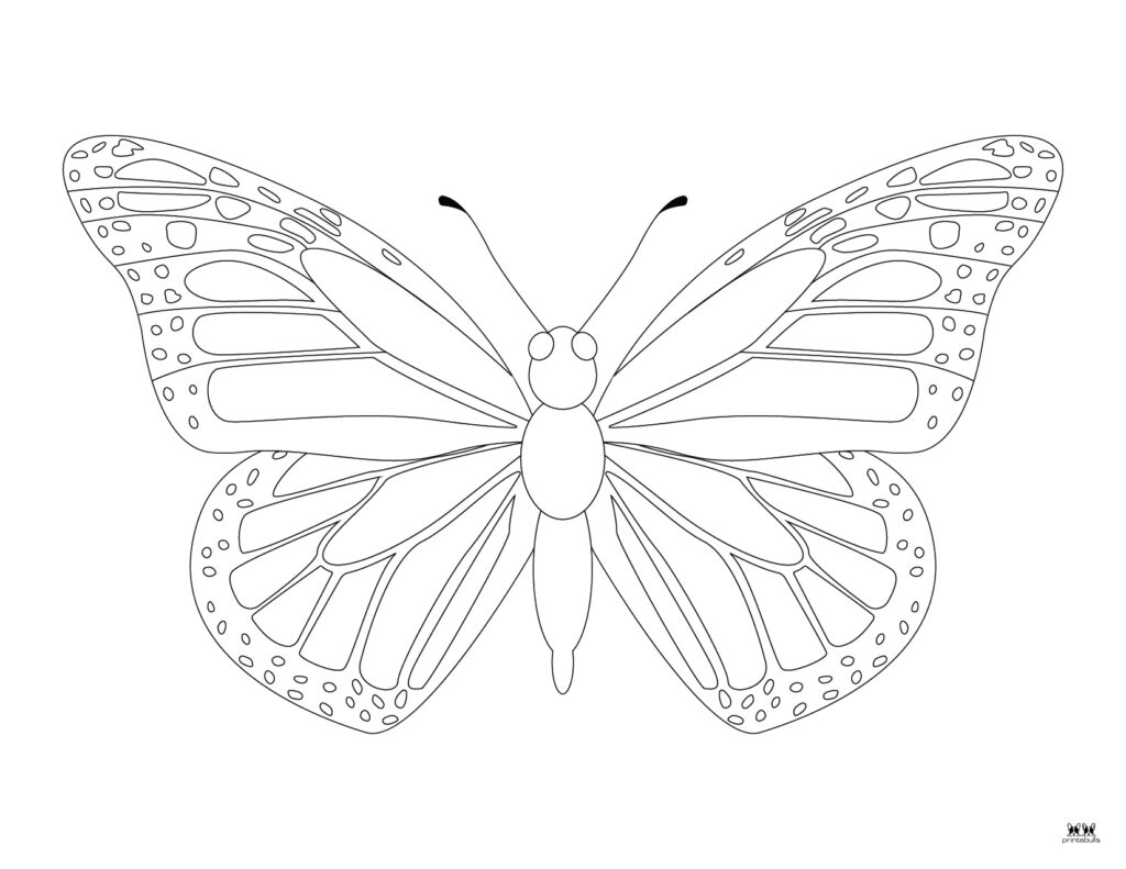 Printable-Butterfly-Coloring-Page-26