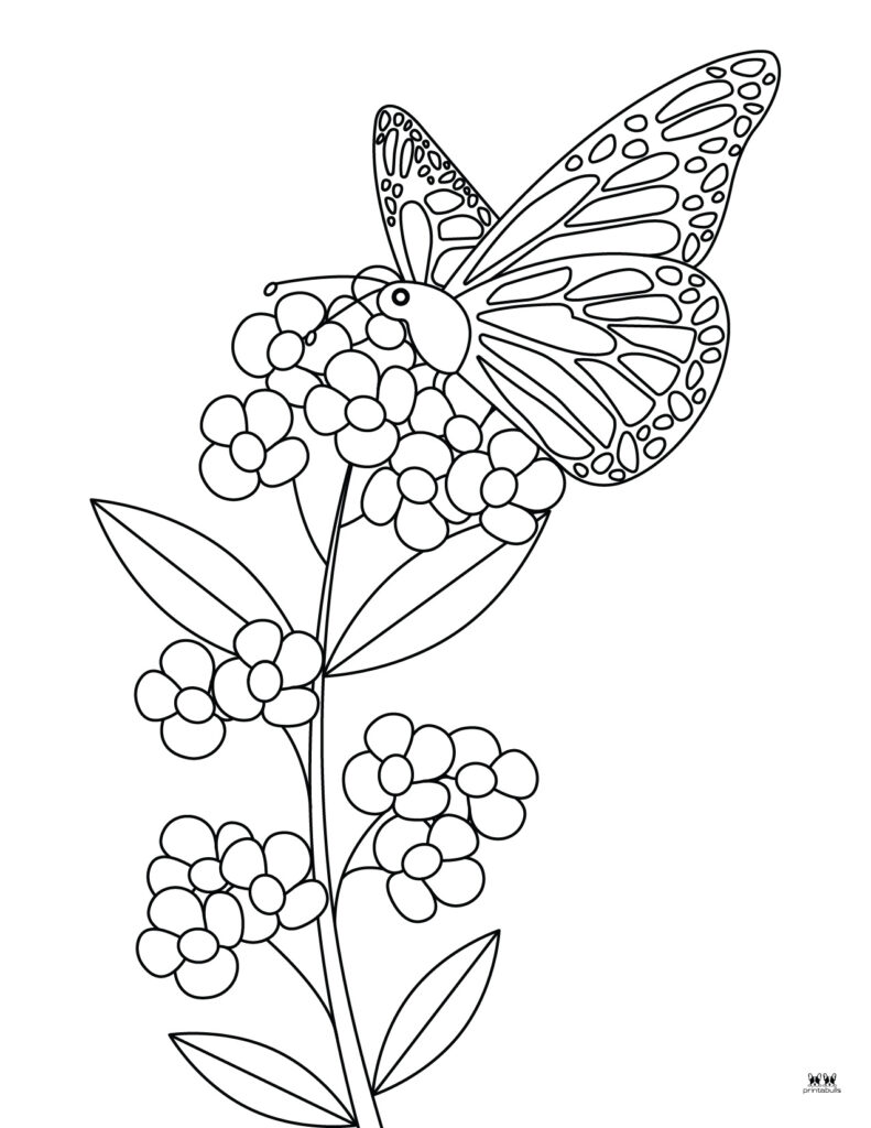 Printable-Butterfly-Coloring-Page-8