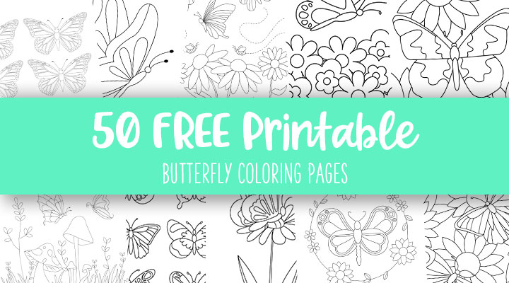 Printable-Butterfly-Coloring-Pages-Feature-Image