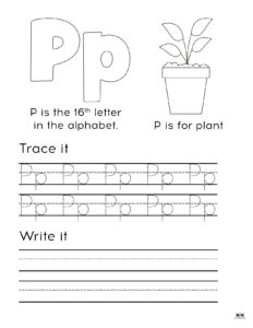 Letter P Worksheets - 50 FREE Printables | Printabulls