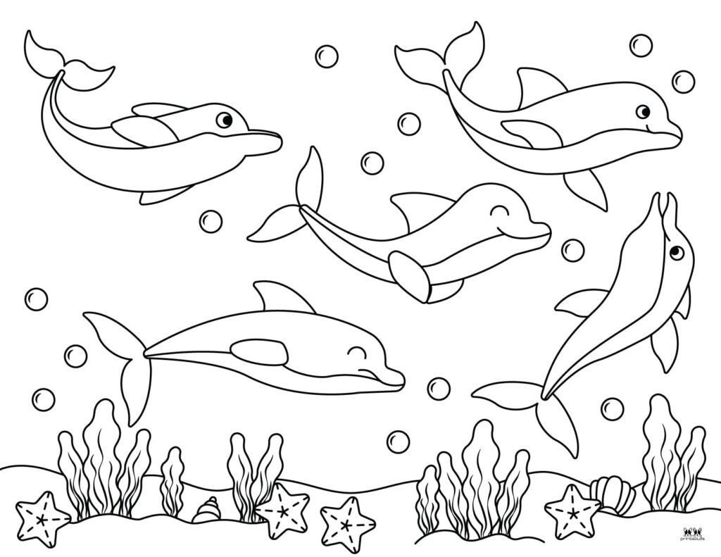 Printable-Dolphin-Coloring-Page-15