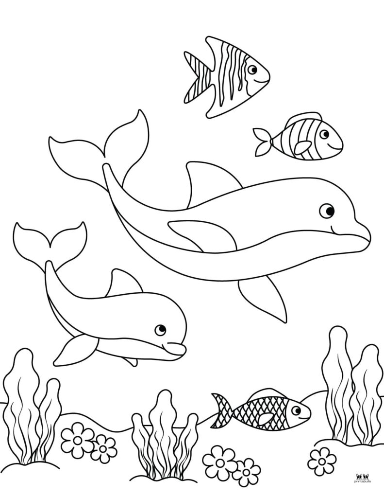 Printable-Dolphin-Coloring-Page-9