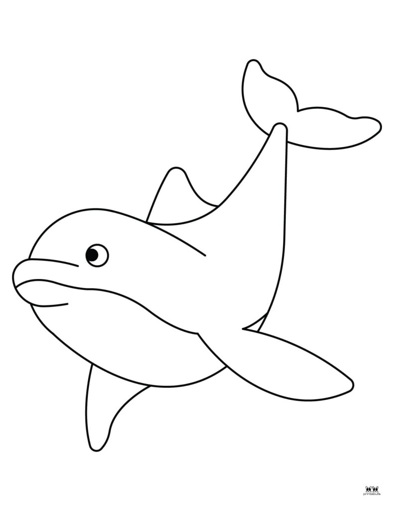 Printable-Dolphin-Template-4