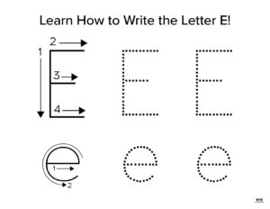 Letter E Worksheets - 50 FREE Printables | Printabulls
