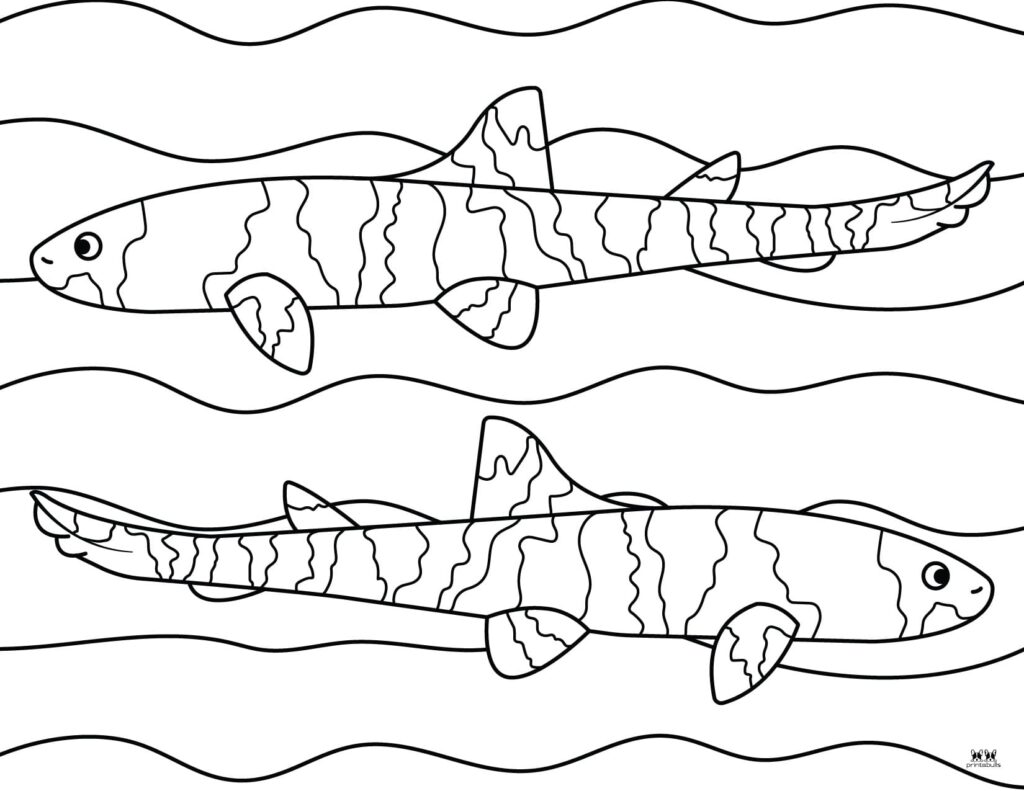 Printable-Shark-Coloring-Page-13
