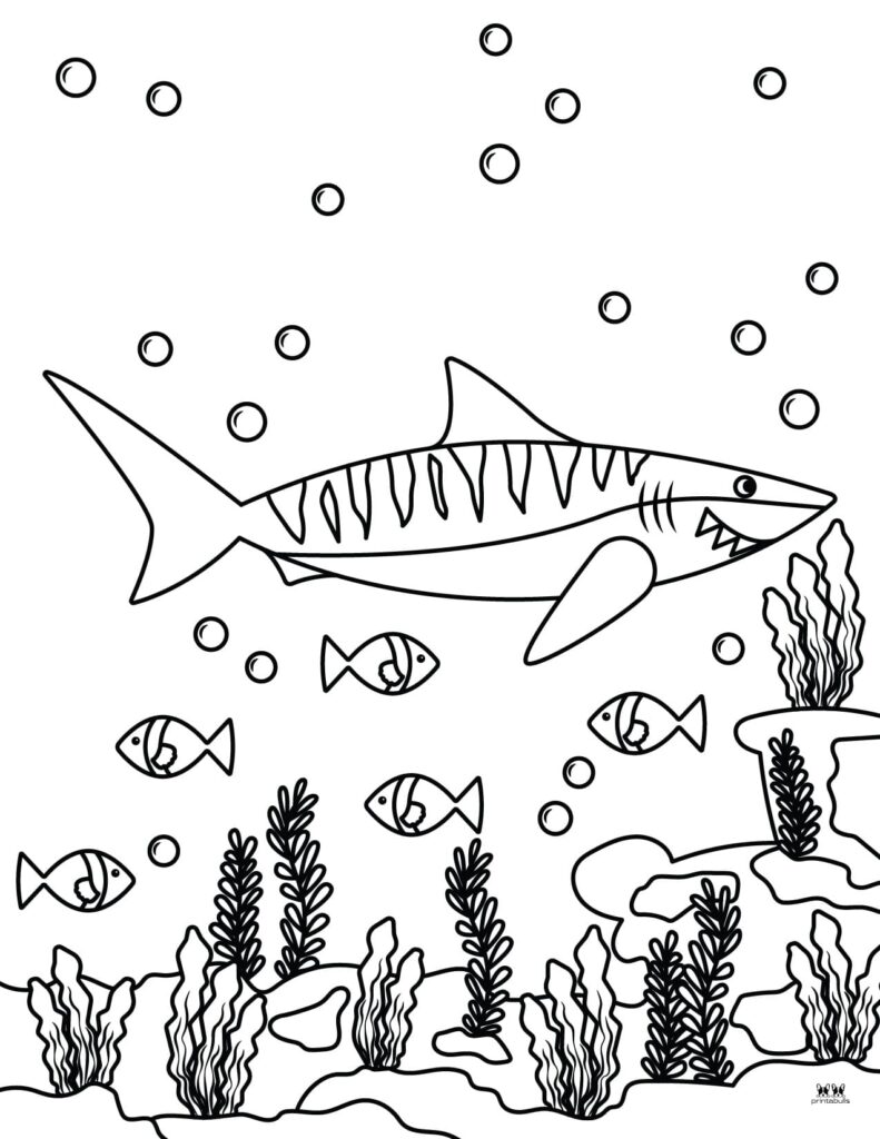 Printable-Shark-Coloring-Page-3