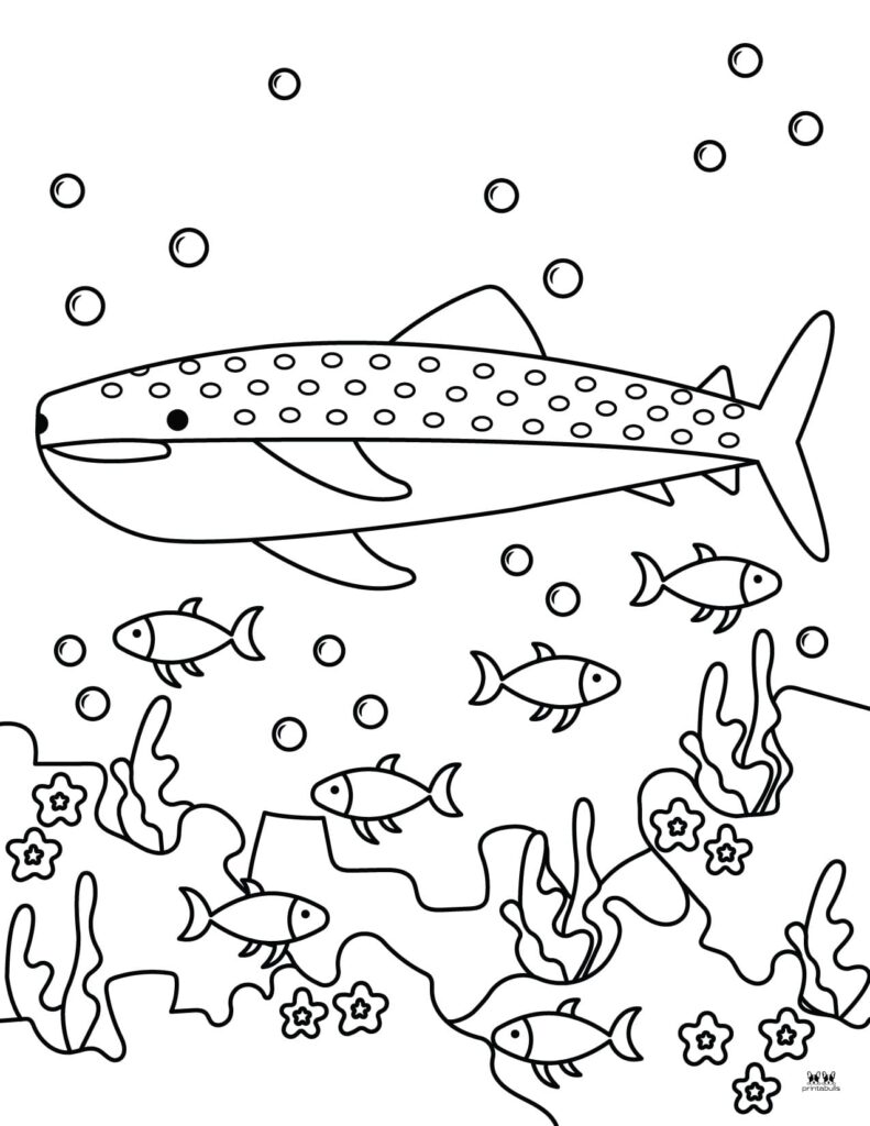 Printable-Shark-Coloring-Page-4