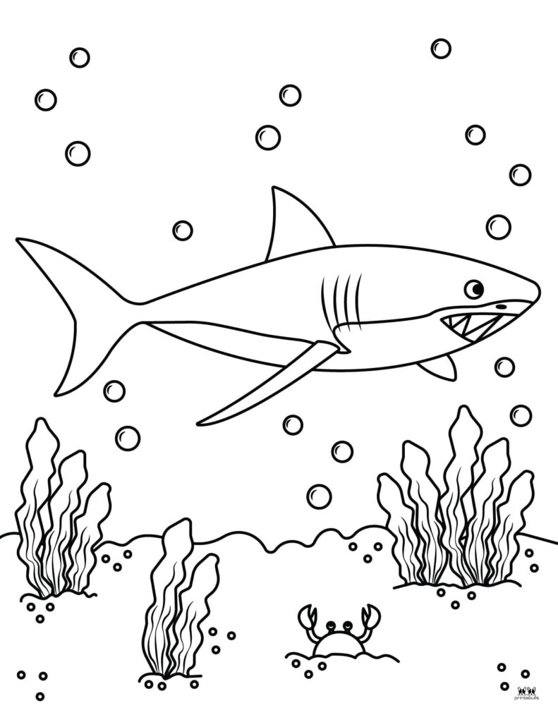Printable-Shark-Coloring-Page-5