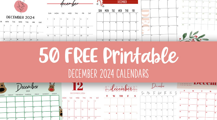 2024 Monthly Planner Cards (Set of 12)