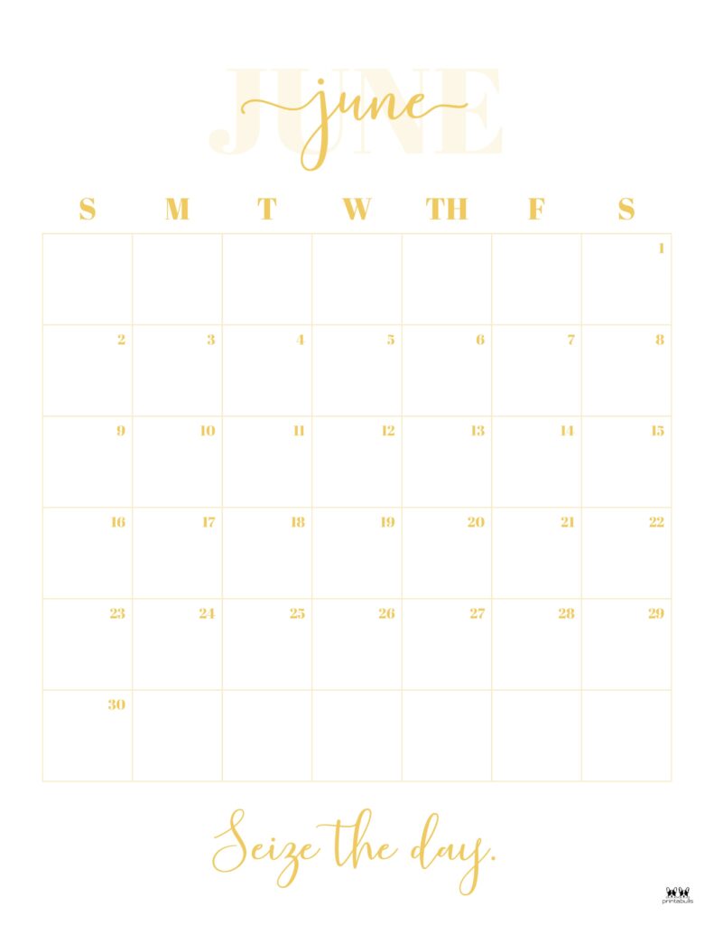 Printable-June-2024-Calendar-Style-13