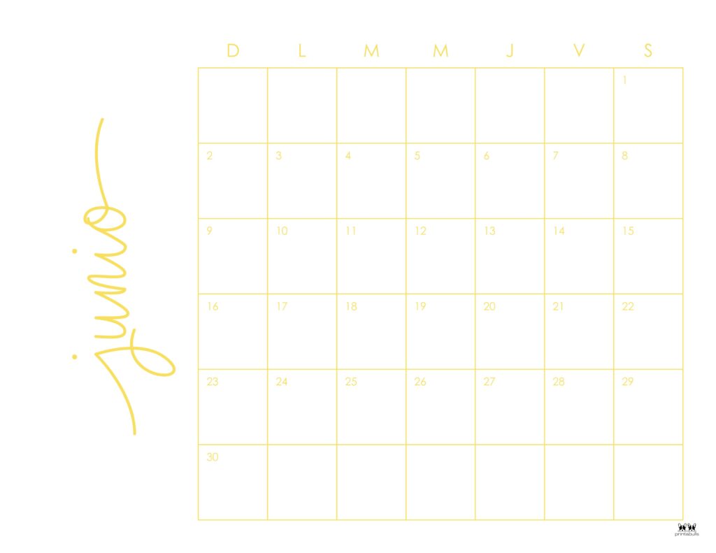 Printable-June-2024-Calendar-Style-46