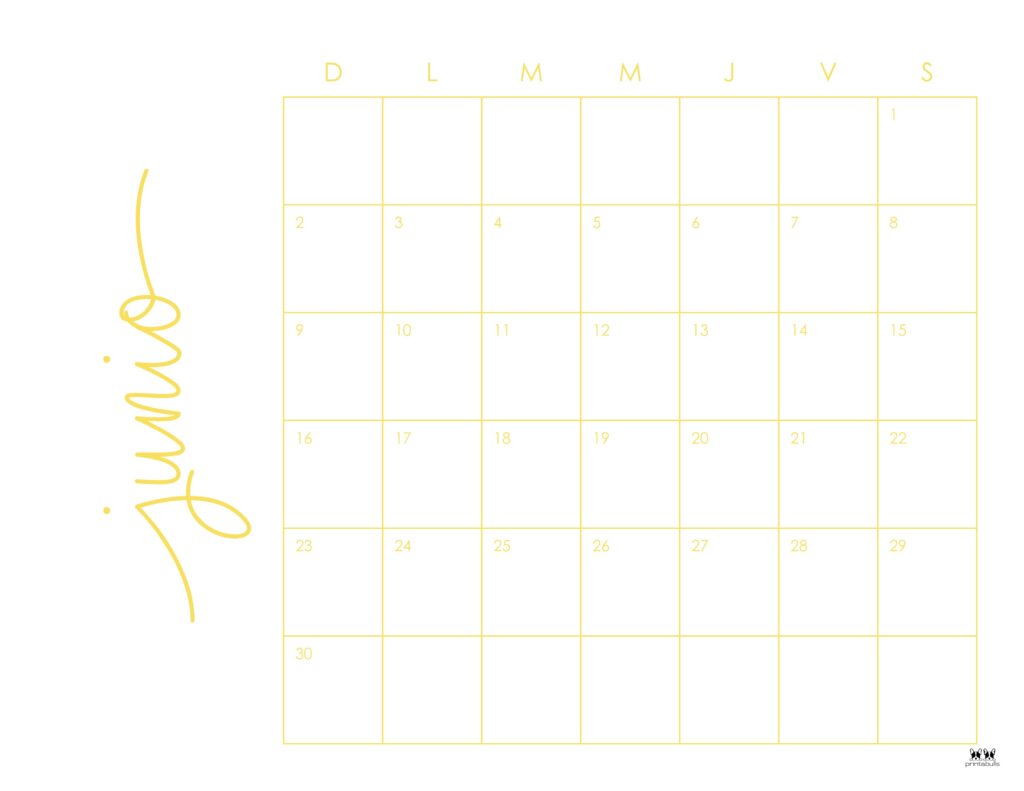 Printable-June-2024-Calendar-Style-46