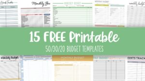 50/30/20 Budget Templates - 15 FREE Printables - PrintaBulk