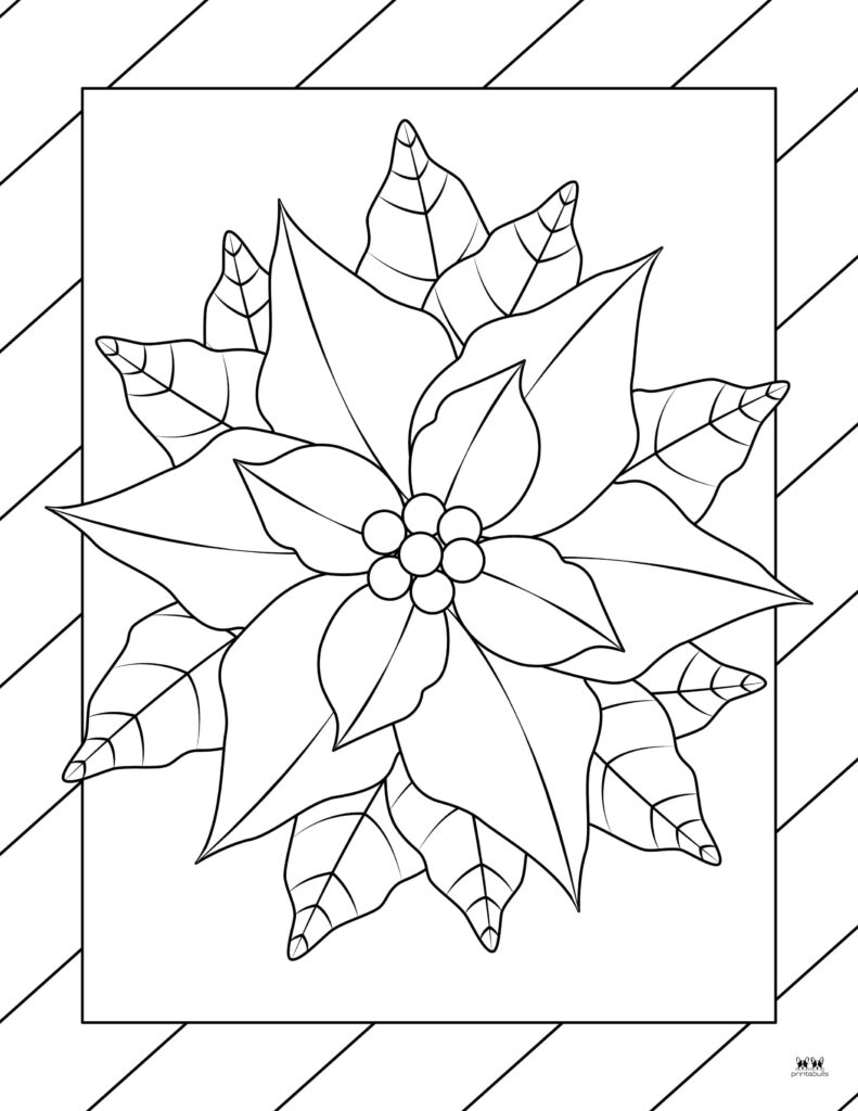 Printable-Poinsettia-Coloring-Page-9