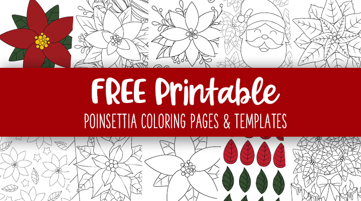 Printable-Poinsettia-Coloring-Pages-and-Templates-Feature-Image