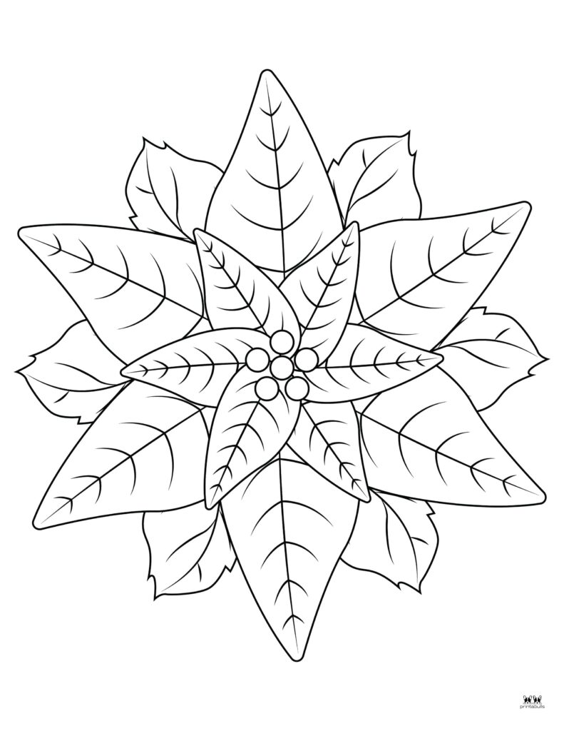 Printable-Poinsettia-Template-1