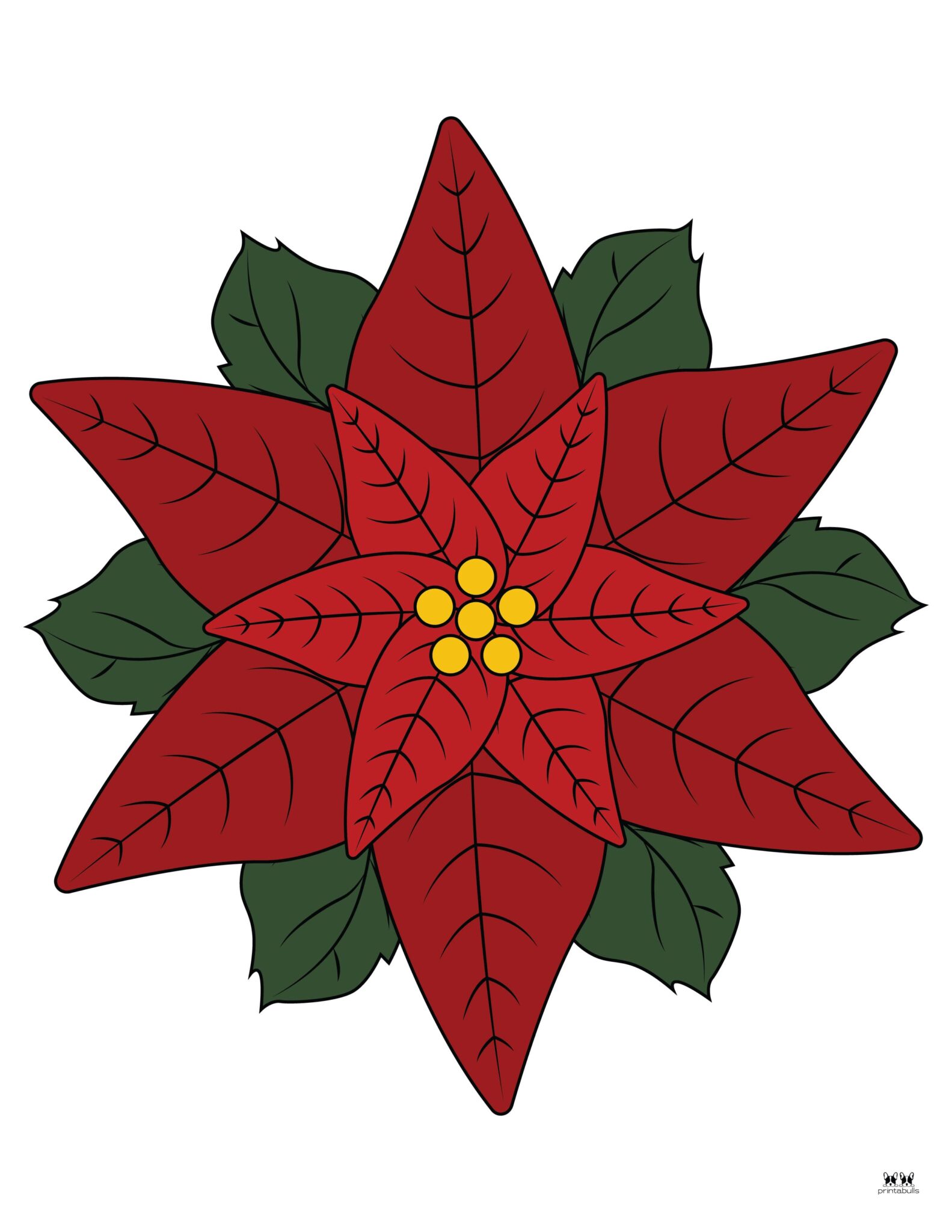 Poinsettia Coloring Pages &amp; Templates - FREE | Printabulls