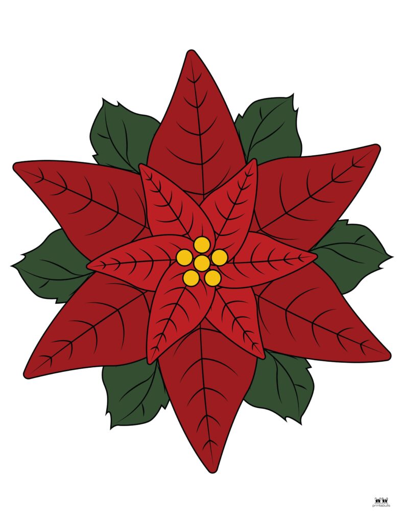 Printable-Poinsettia-Template-2