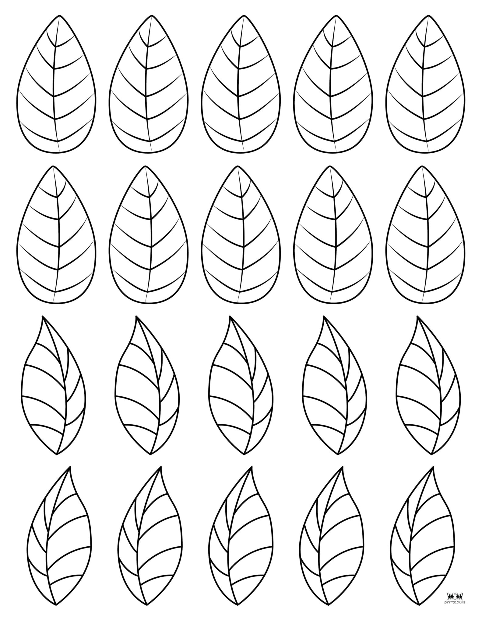 Poinsettia Coloring Pages &amp; Templates - FREE | Printabulls