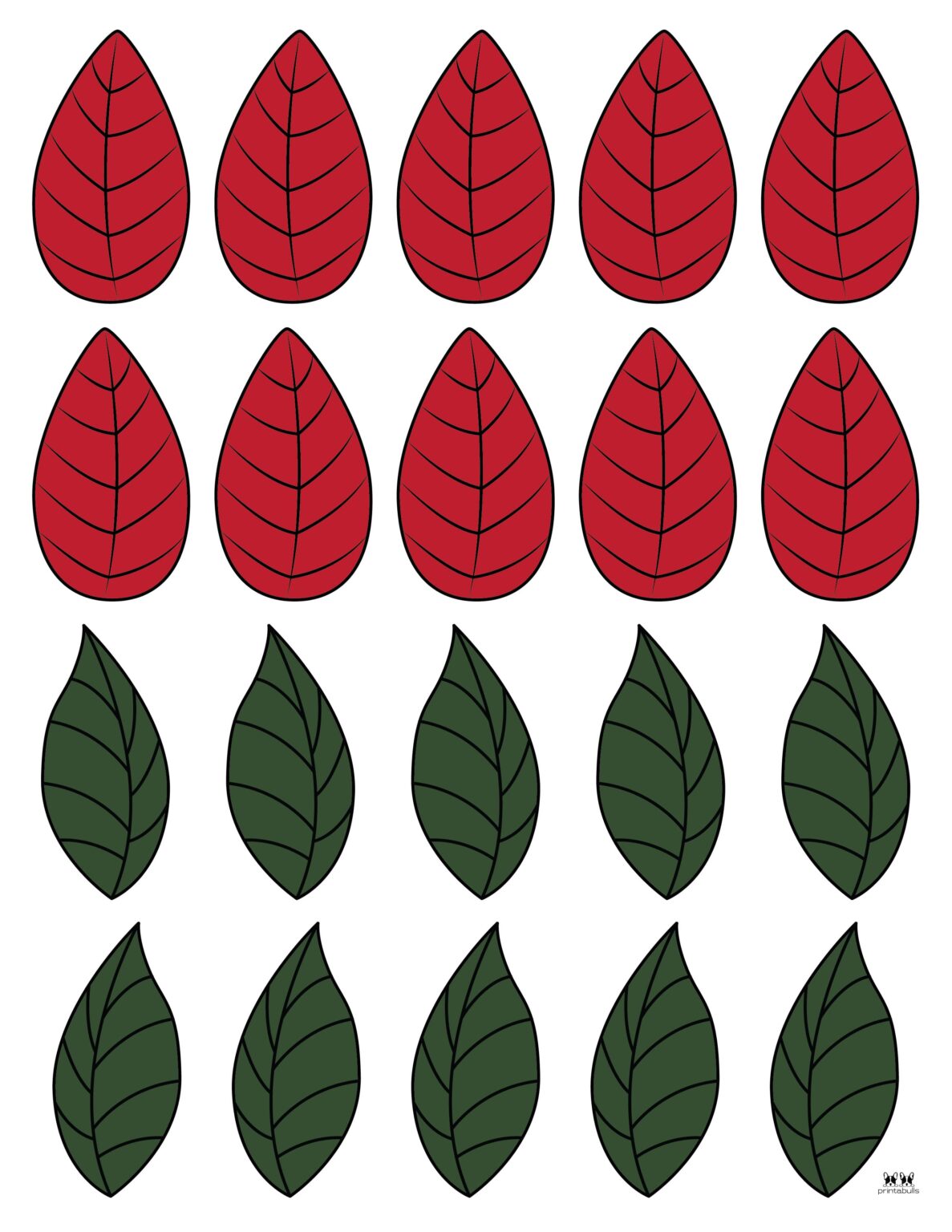 Poinsettia Coloring Pages &amp; Templates - FREE | Printabulls