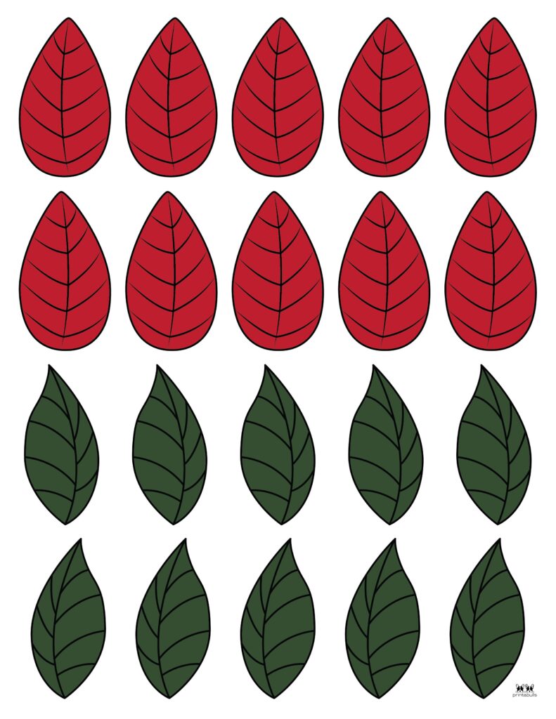 Printable-Poinsettia-Template-6